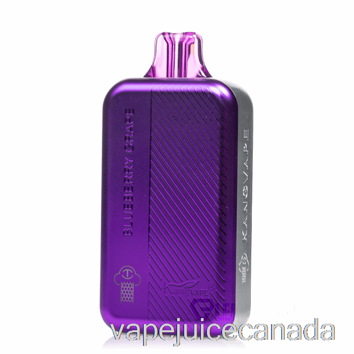 Vape Disposable Canada Kangvape TC8000 Disposable Blueberry Grape